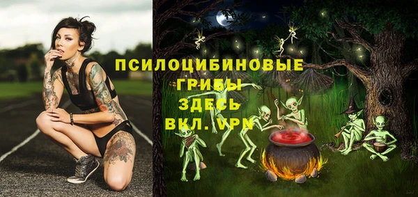 гашик Краснотурьинск